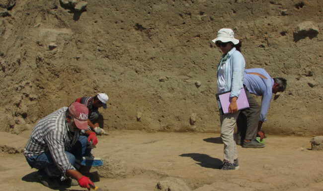 Taşlıgeçit Höyüğü’de ikinci dönem kazılarına başlandı