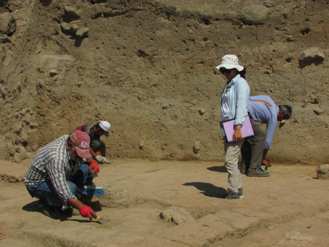 Taşlıgeçit Höyüğü'de ikinci dönem kazılarına başlandı