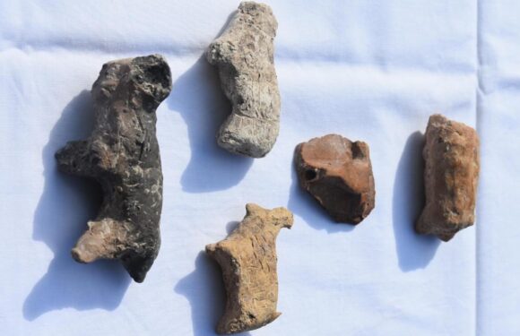 Ulucak Höyüğü’nde 8 bin 500 yıllık heykelcikler bulundu