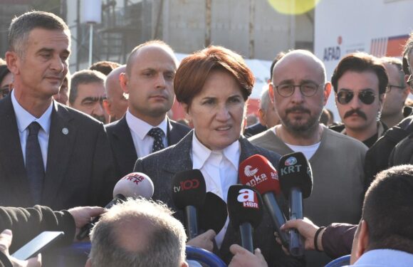 Akşener: Devlet, şehitlerimizin ailelerini yalnız bırakmayacaktır