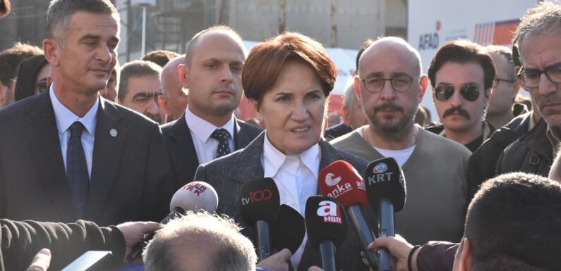 Akşener: Devlet, şehitlerimizin ailelerini yalnız bırakmayacaktır