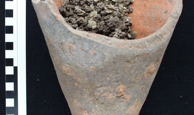 Assos kazısında bulunan bir amforada 1600 yıllık kılçık kalıntılarına ulaşıldı