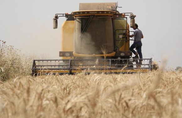 Çiftçi Kayıt Sistemi’ne eDevlet’ten 28 bin 172 başvuru yapıldı