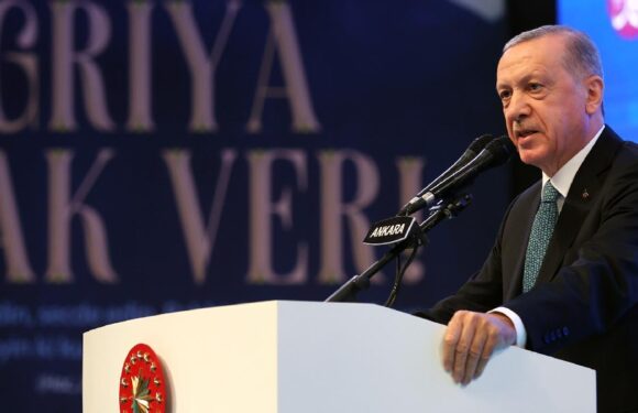 Cumhurbaşkanı Erdoğan: Gereği neyse her zaman yapacağız