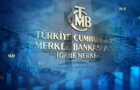 Merkez Bankası menkul kıymet tesis oranında değişikliğe gitti