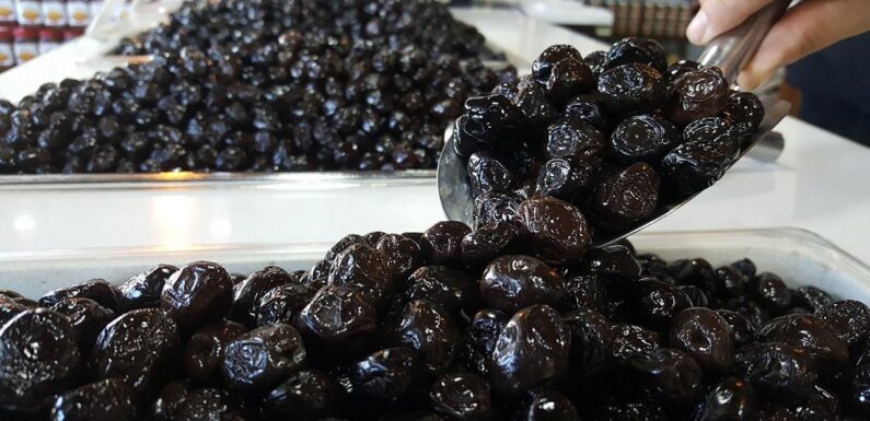 Zeytin ihracatı 110 bin tonla rekor kırdı