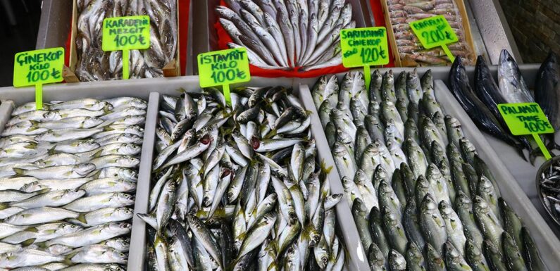Balıkçılar denize açılamayınca fiyatlar arttı TRT Haber Ekonomi Haberleri AA