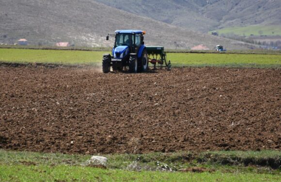 Tarımsal girdi fiyat endeksi eylülde arttı