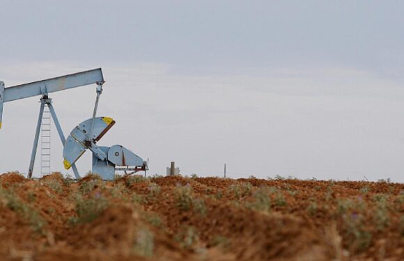 ABD, petrol fiyatı tahminini yukarı yönlü revize etti