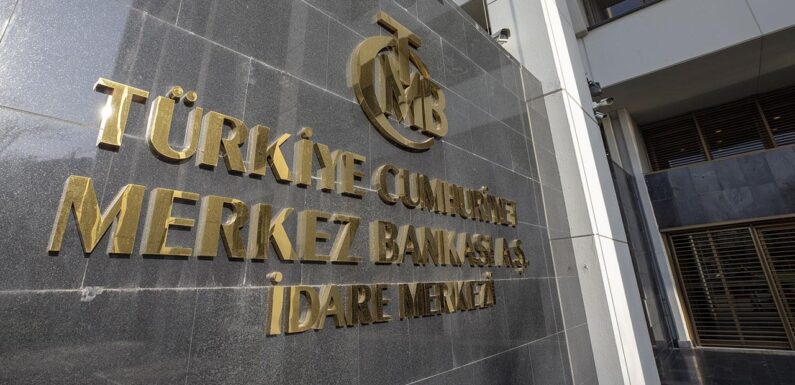 Merkez Bankası rezervleri 8 yılın en yüksek seviyesinde TRT Haber Ekonomi Haberleri AA