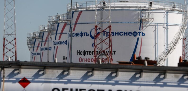 Rus Transneft: Almanya ve Polonya’dan petrol talebi aldık TRT Haber Ekonomi Haberleri AA