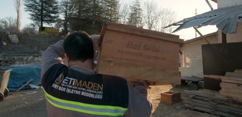 Eti Maden ‘Bal Gibi Madencilik’ projesiyle arıcılığı teşvik ediyor TRT Haber Ekonomi Haberleri TRT Haber