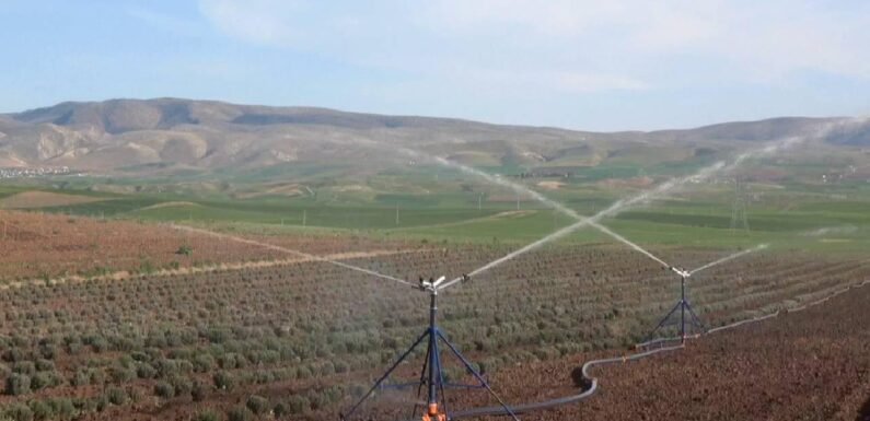 Tarım ve Orman Bakanlığı’ndan deprem bölgesine destek TRT Haber Ekonomi Haberleri AA