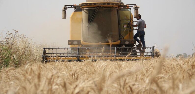 Çiftçilere tarımsal destek ödemeleri bugün yapılacak TRT Haber Ekonomi Haberleri AA