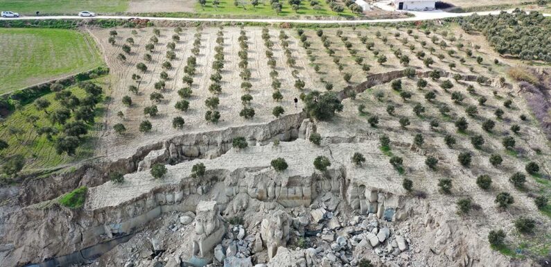 TARSİM, deprem bölgesinde 11 milyon lira hasar ödemesi yaptı TRT Haber Ekonomi Haberleri AA