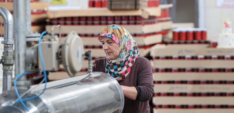 Kadın kooperatiflerine geçen yıl 13,7 milyon lira hibe sağlandı TRT Haber Ekonomi Haberleri AA