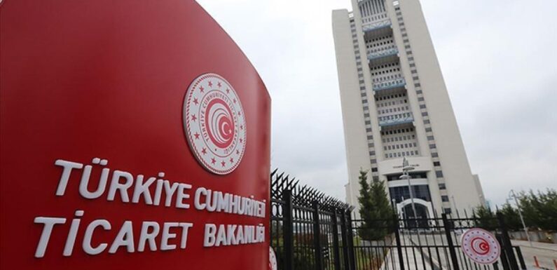 Bu yıl 79 şirkete dış ticaret sermaye şirketi statüsü verildi TRT Haber Ekonomi Haberleri AA