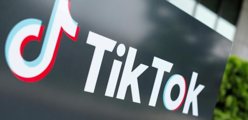 KVKK’dan TikTok’a 1 milyon 750 bin lira para cezası TRT Haber Ekonomi Haberleri AA