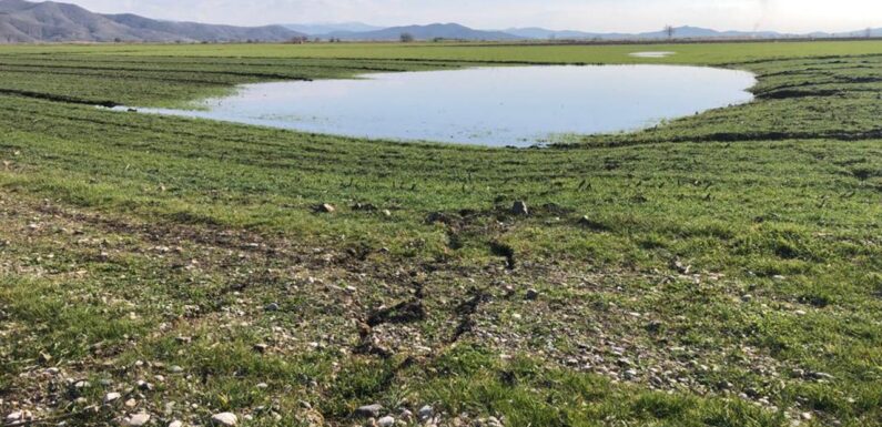 Depremin tarım sektörüne zararı 24,2 milyar lirayı buldu TRT Haber Ekonomi Haberleri AA