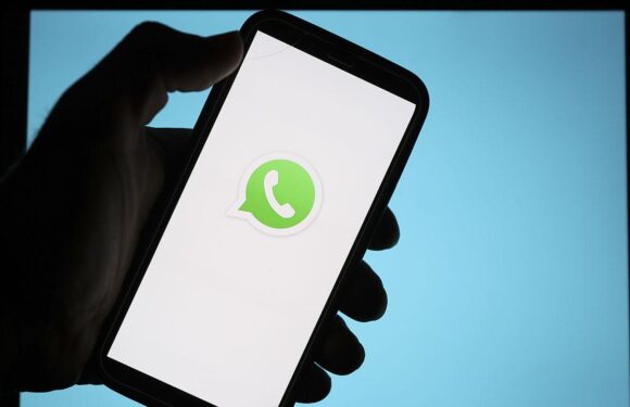 WhatsApp’a mesaj düzenleme özelliği geldi TRT Haber Bilim Teknoloji Haberleri AA