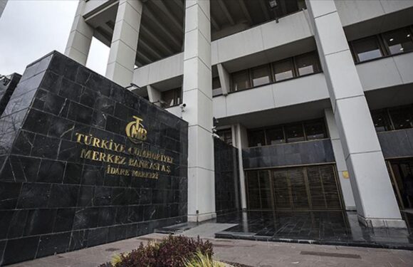 Merkez Bankası rezervleri 98,5 milyar dolar oldu TRT Haber Ekonomi Haberleri AA