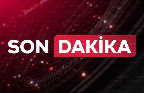 LGS sonuçları bugün açıklanacak TRT Haber Eğitim Haberleri