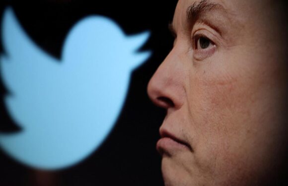 Elon Musk, Twitter’ın logosunu değiştiriyor TRT Haber Bilim Teknoloji Haberleri AA