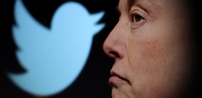 Elon Musk, Twitter’ın logosunu değiştiriyor TRT Haber Bilim Teknoloji Haberleri AA