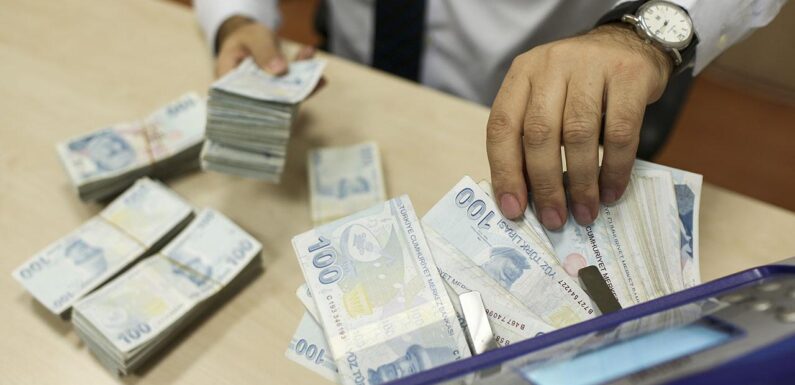 Bütçeye 1 trilyon 119 milyar lira ödenek sağlandı TRT Haber Ekonomi Haberleri AA