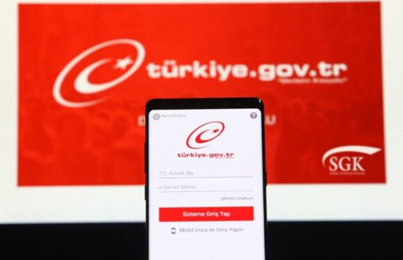 eDevlet kullanıcılarına ‘sahte site’ uyarısı TRT Haber Bilim Teknoloji Haberleri AA