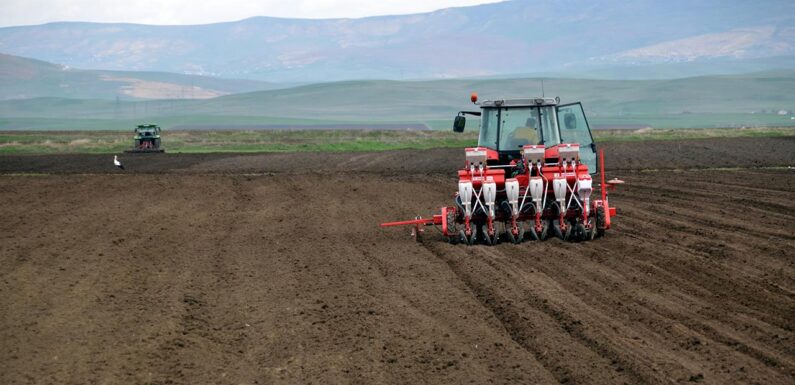 Pancar üreticilerine ödemeler bugün yapılacak TRT Haber Ekonomi Haberleri AA