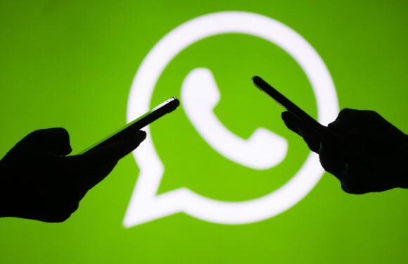 Yurt dışından gelen WhatsApp aramalarına dikkat TRT Haber Bilim Teknoloji Haberleri TRT Haber