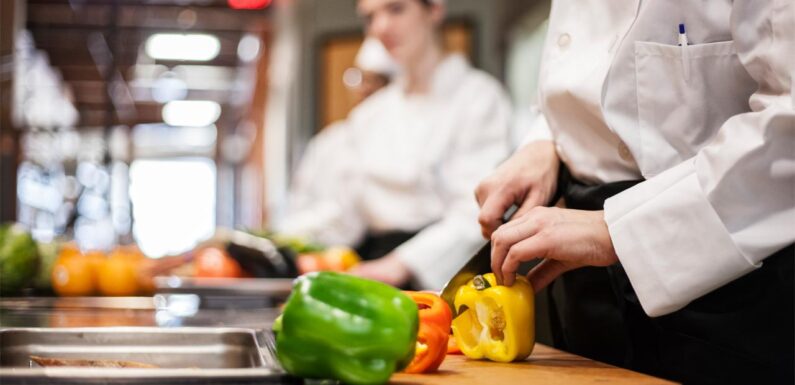 MEB gastronomi lisesi açıyor TRT Haber Eğitim Haberleri