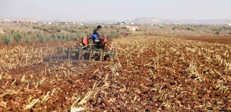 Çiftçilere tarımsal destekleme ödemesi yapıldı TRT Haber Ekonomi Haberleri AA