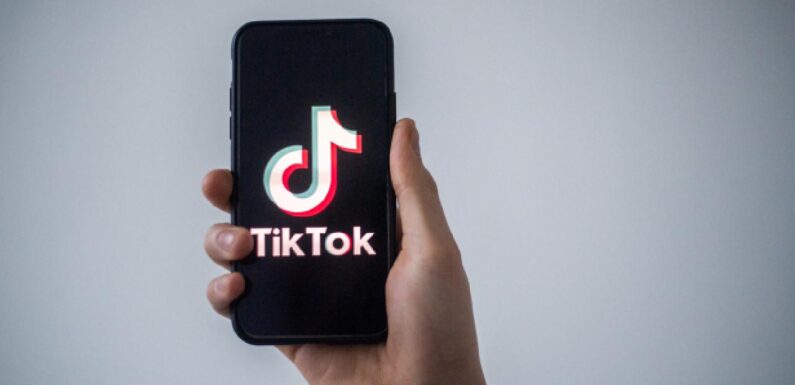 TikTok’tan 31 Mart seçimleri için teyit önlemi