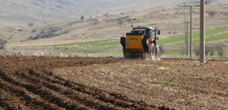 Tarım ihracatında ilk çeyrekte rekor kırıldı