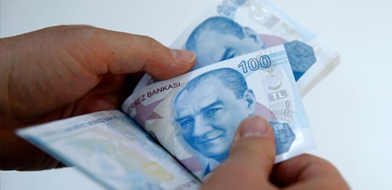 Çiftçilere 2,5 milyar lira tarımsal destekleme ödemesi bugün yapılacak