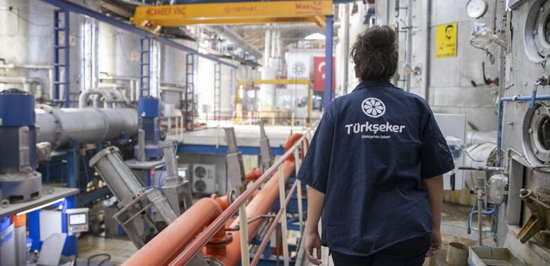 Türkşeker’in fabrikalarına 390 sürekli işçi alınacak