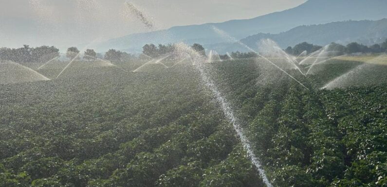 Tarım arazileri yeni yatırımlarla suya kavuşacak