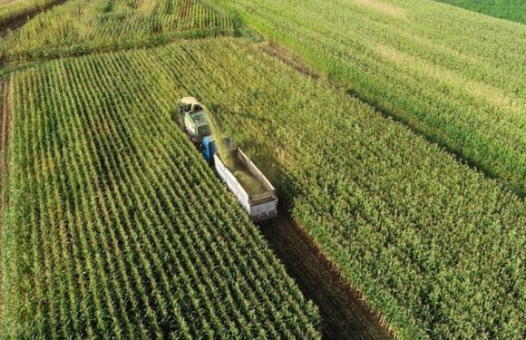 Çiftçilere 88 milyon 368 bin liralık tarımsal destekleme ödemesi