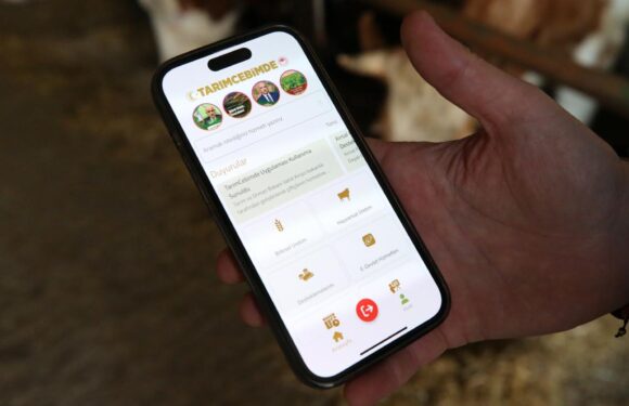 Gıda denetim verilerine Tarım Cebimde uygulamasından ulaşılabilecek