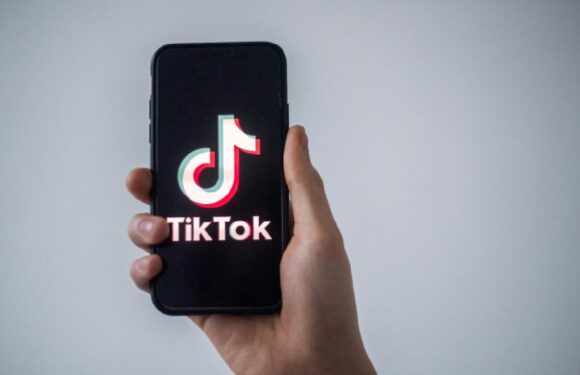 TikTok’ta geçen yıl Türkiye’de 16,5 milyon içerik kaldırıldı