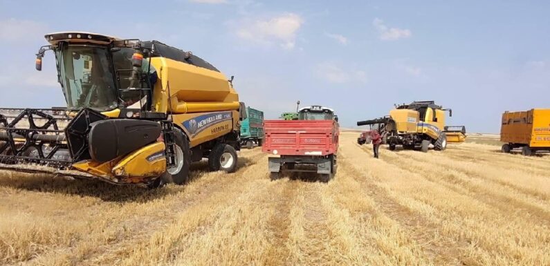 Tarımsal örgüt belgesinin geçerlilik süresi bir yıl olacak