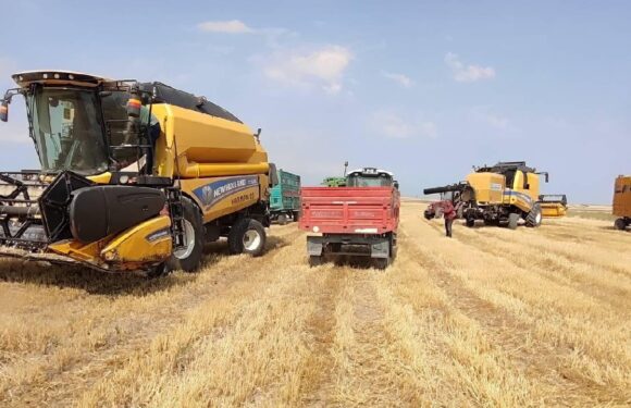 Tarımsal üretim planlaması pazarlama sorununa çözüm olacak