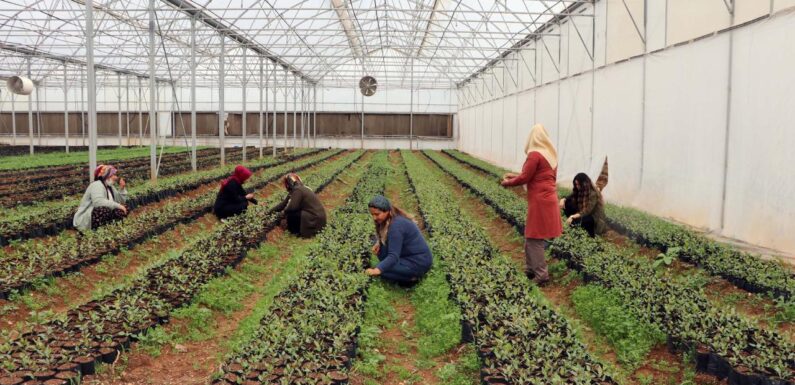 Gençler ve kadınların desteklerle kırsalda üretimi sürdürmesi amaçlanıyor