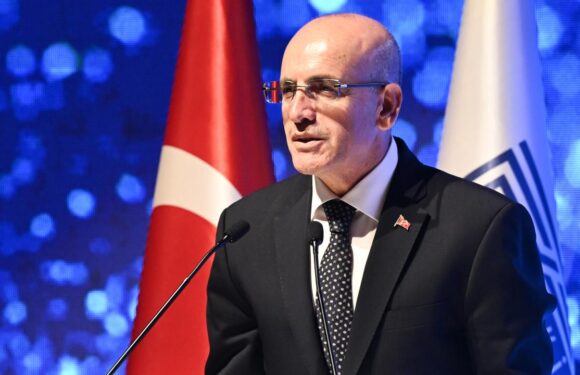 Bakan Şimşek: 2025 dezenflasyon yılı olacak