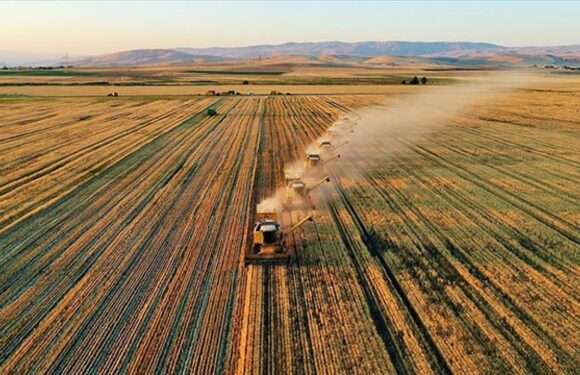 Tarım ÜFE temmuzda aylık bazda yüzde 1,74 arttı