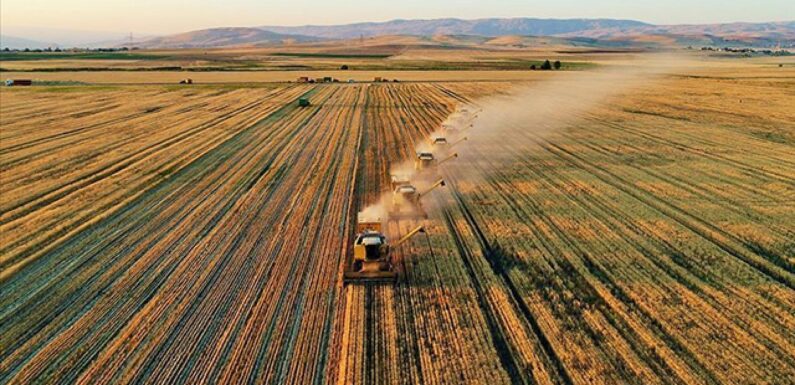 Tarım ÜFE temmuzda aylık bazda yüzde 1,74 arttı