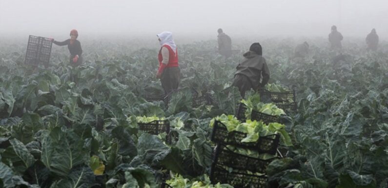 Üreticilere 7 ayda 3 milyar liranın üzerinde hasar tazminatı ödendi