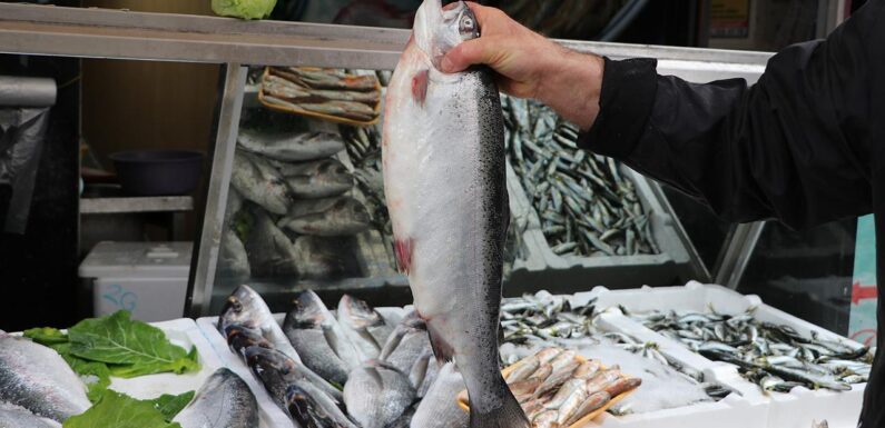 Doğu Karadeniz’in 7 aylık Türk somonu ihracatı arttı